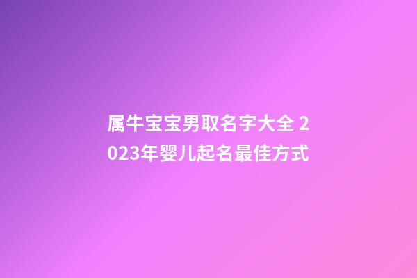 属牛宝宝男取名字大全 2023年婴儿起名最佳方式